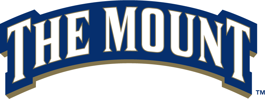 Mount St. Marys Mountaineers 2006-2016 Wordmark Logo v2 iron on transfers for clothing